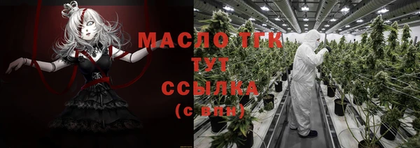 СК Богородск