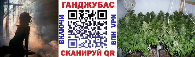 где найти наркотики  Велиж  Каннабис конопля 